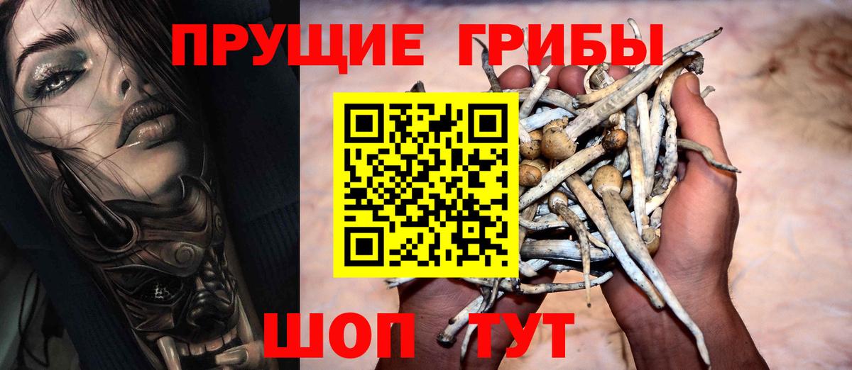 Псилоцибиновые грибы мицелий Камышин